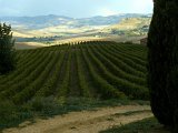 (76) Piazza Armerina - Pranzo Agriturismo GIGLIOTTO.jpg